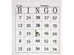 BINGO TAMOIO JORNAL 100FLS PCT C/15 BLS