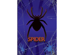 CAD BROCHURAO UNIV CD COST 96FLS X-SPIDER PC/5